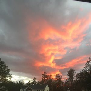 Meet your Posher, Monique